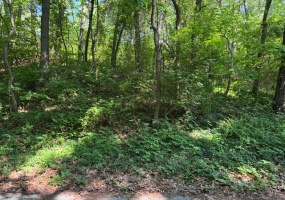 6 Lilac Lane, Grand Beach, Michigan, ,Land,For Sale,Lilac,NRA823841 6 Lilac Lane, Grand Beach, Michigan, ,Land,For Sale,Lilac,NRA823841