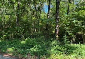 4 Lilac Lane, Grand Beach, Michigan, ,Land,For Sale,Lilac,NRA823864 4 Lilac Lane, Grand Beach, Michigan, ,Land,For Sale,Lilac,NRA823864