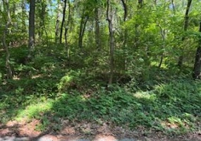 2 Lilac Lane, Grand Beach, Michigan, ,Land,For Sale,Lilac,NRA823868 2 Lilac Lane, Grand Beach, Michigan, ,Land,For Sale,Lilac,NRA823868