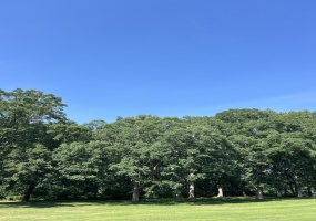 1 Lilac Lane, Grand Beach, Michigan, ,Land,For Sale,Lilac,NRA823870 1 Lilac Lane, Grand Beach, Michigan, ,Land,For Sale,Lilac,NRA823870