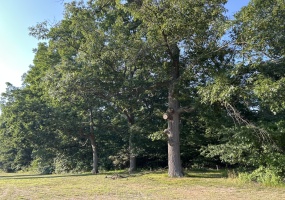 3 Lilac Lane, Grand Beach, Michigan, ,Land,For Sale,Lilac,NRA823874