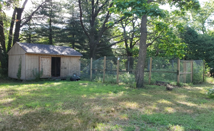 Chicken Coop