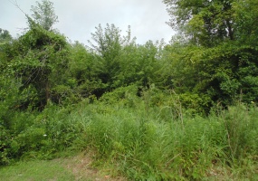 2820 New York Street, Lake Station, Indiana, ,Land,For Sale,New York,NRA824394 2820 New York Street, Lake Station, Indiana, ,Land,For Sale,New York,NRA824394