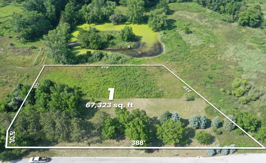 Rosewood Lot 1 (002) copy