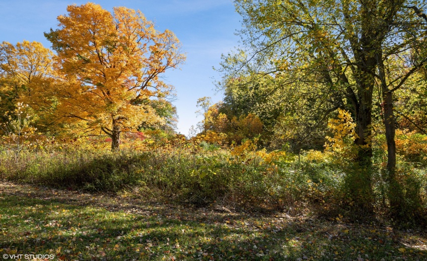 07_6833Fail_220_Location20_HiRes