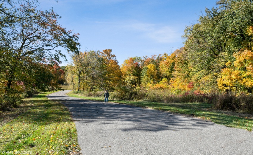 06_6833Fail_218_Location18_HiRes