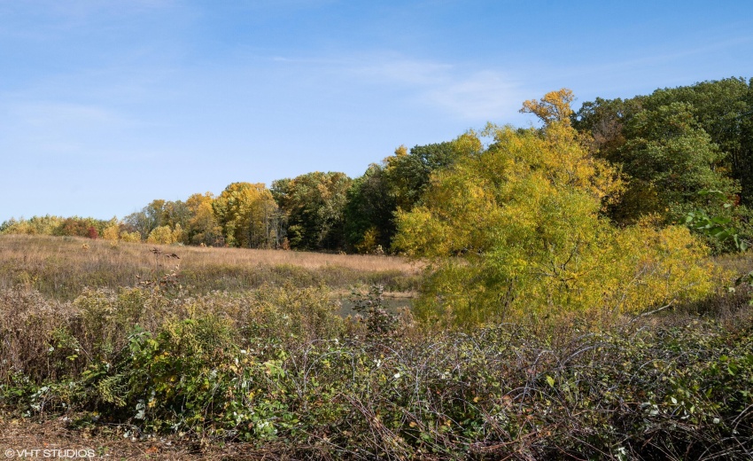 04_6833Fail_108_Location8_HiRes