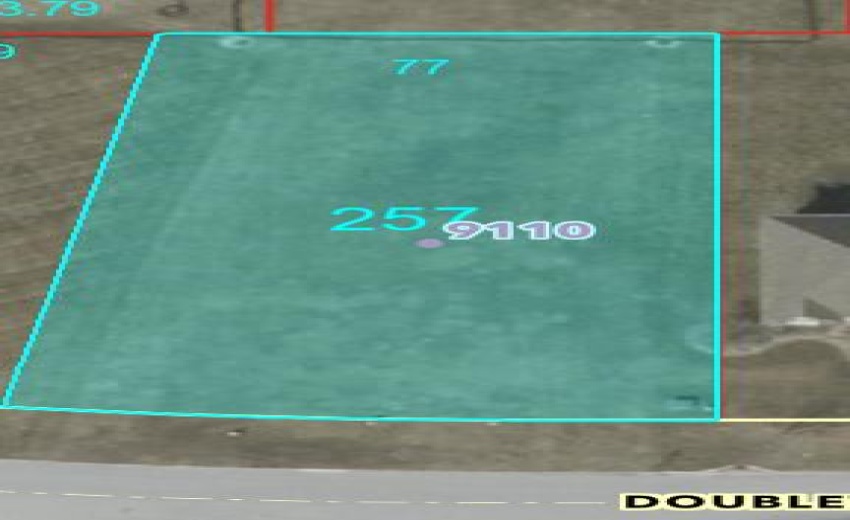 Lot2579110doubletreesizes