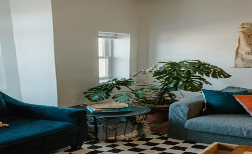 P_1745419894022_final20