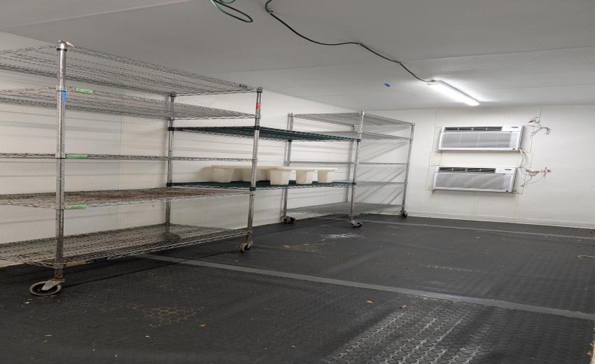 PXL_20250413_171443052