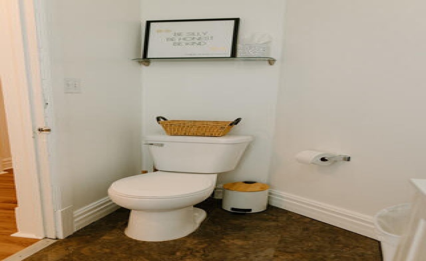 P_1745419990832_final43