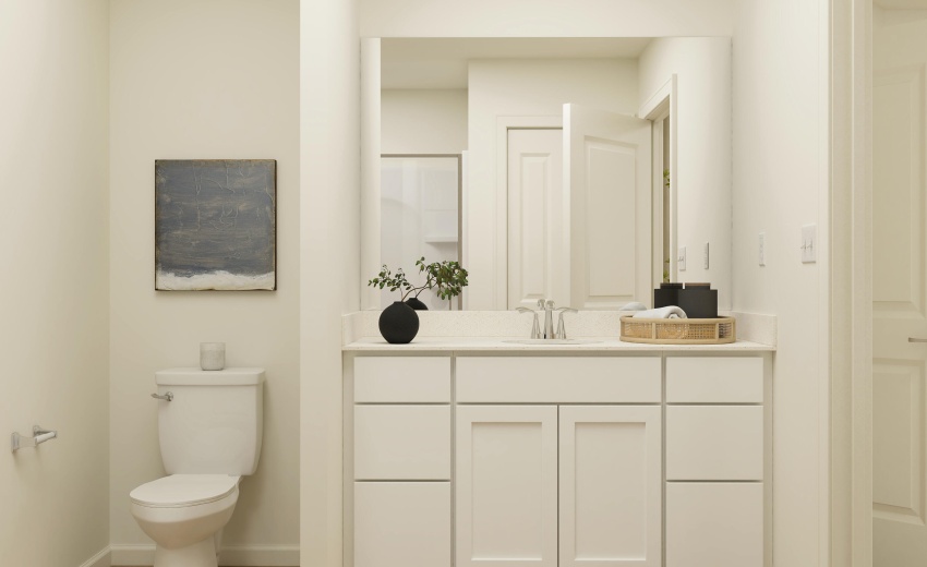 Owner's Bath