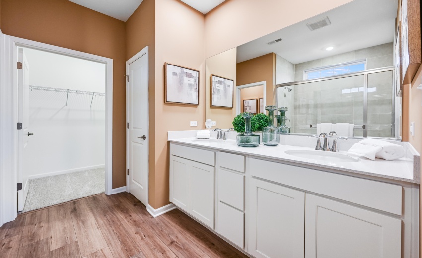 Owner's Bath