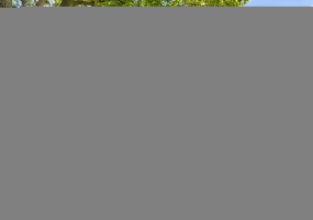 1725 Selo Drive, Schererville, Indiana, 4 Bedrooms Bedrooms, 10 Rooms Rooms,2 BathroomsBathrooms,Residential,For Sale,Selo,NRA826920