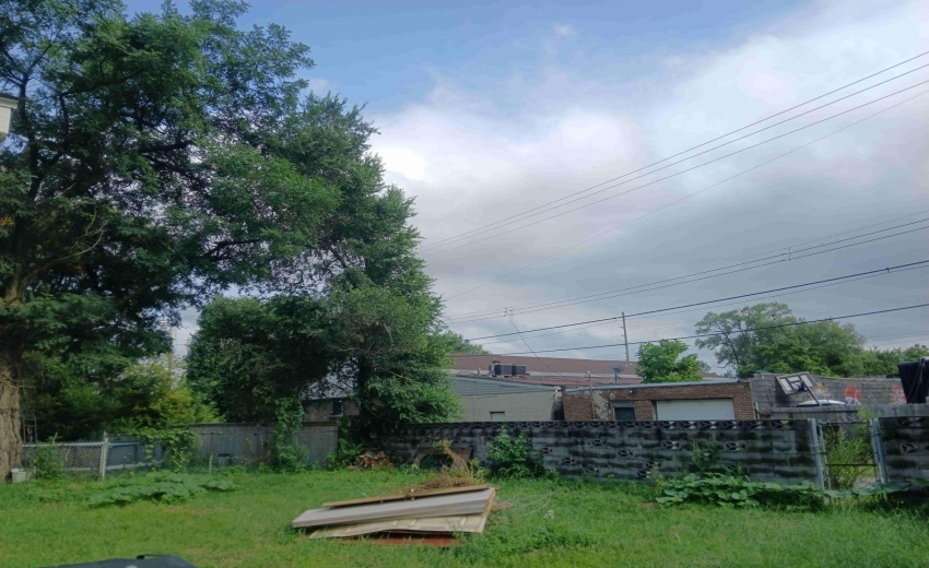 optimized_20250817_160852