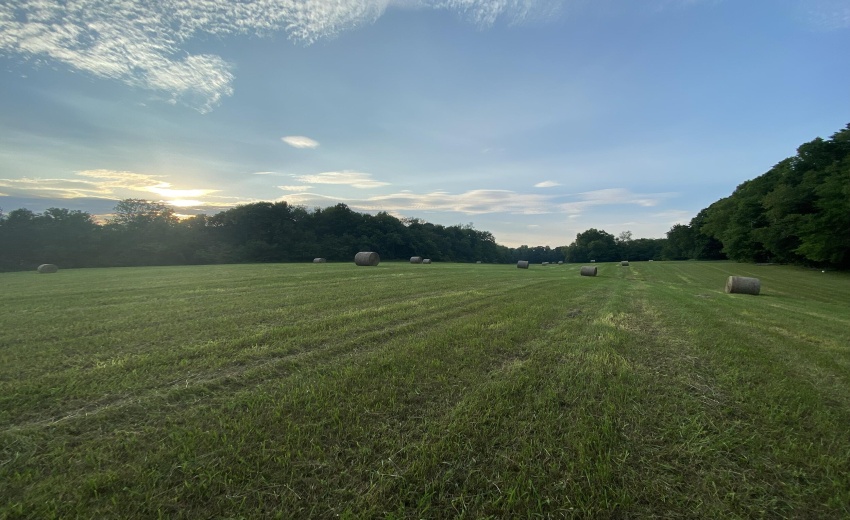 Field