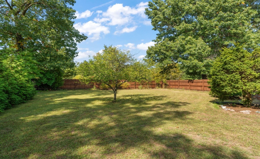 36-web-or-mls-DSC00156