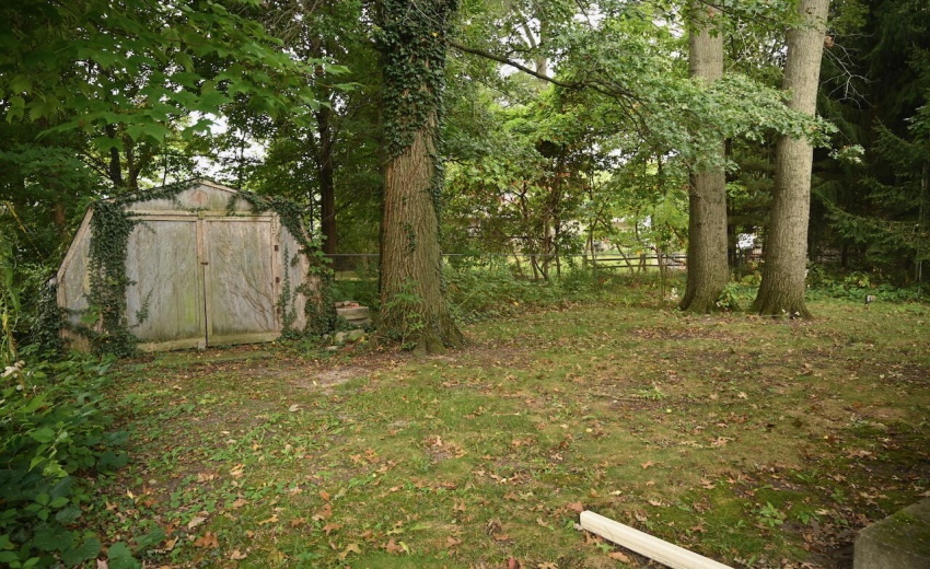 Backyard