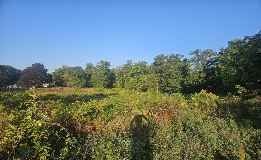 20250928_075331_resized_3