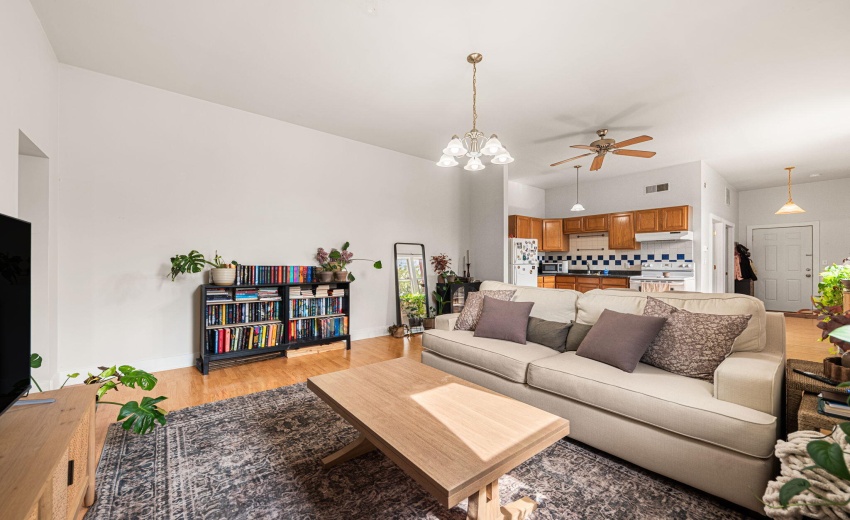 54-web-or-mls-DDP_9061