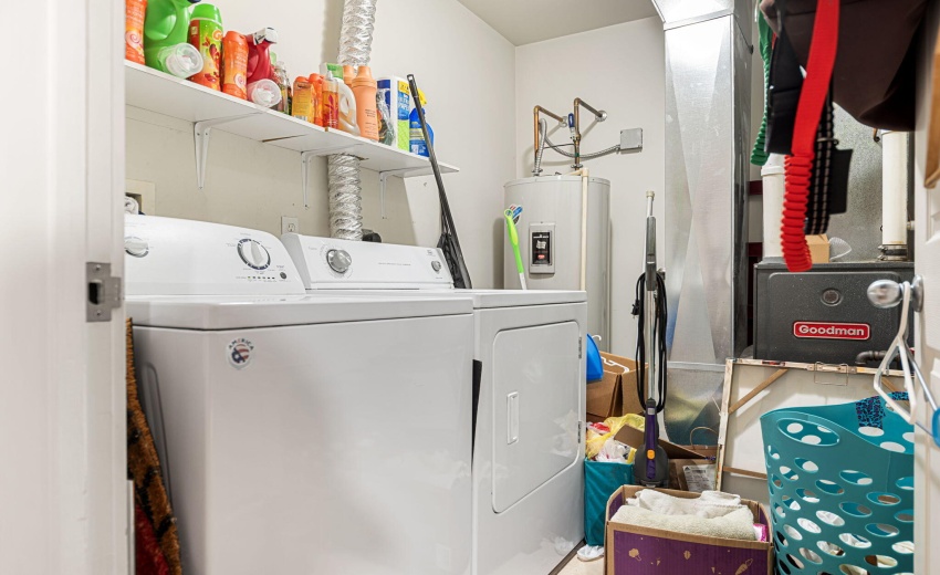 43-web-or-mls-DDP_9005