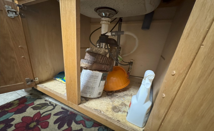 20250925_220404433_iOS