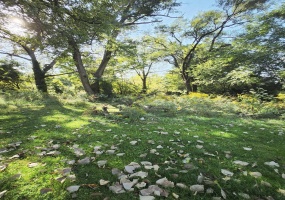 756 Franklin Street, Valparaiso, Indiana, ,Land,For Sale,Franklin,NRA828681