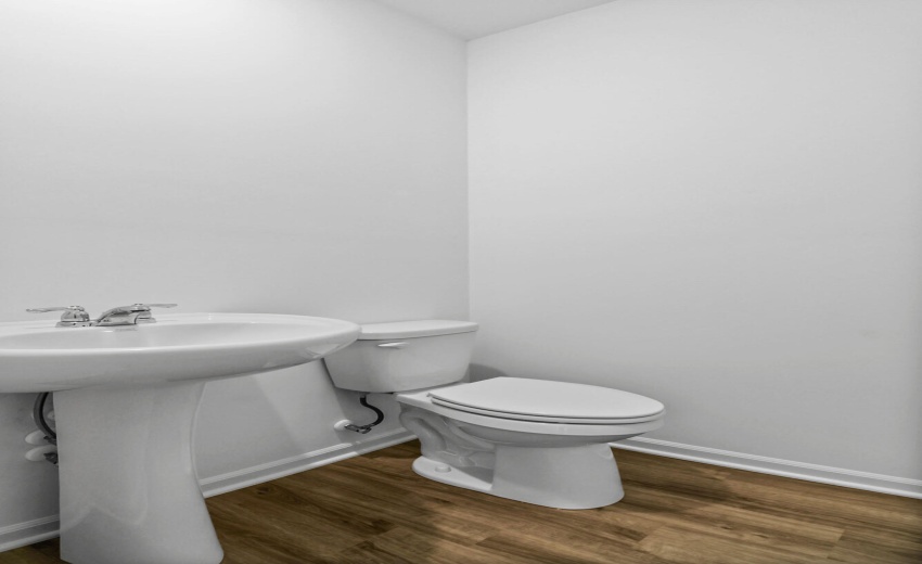 Camelia powder room