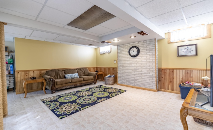 4934 Oriole Ave-basement sofa