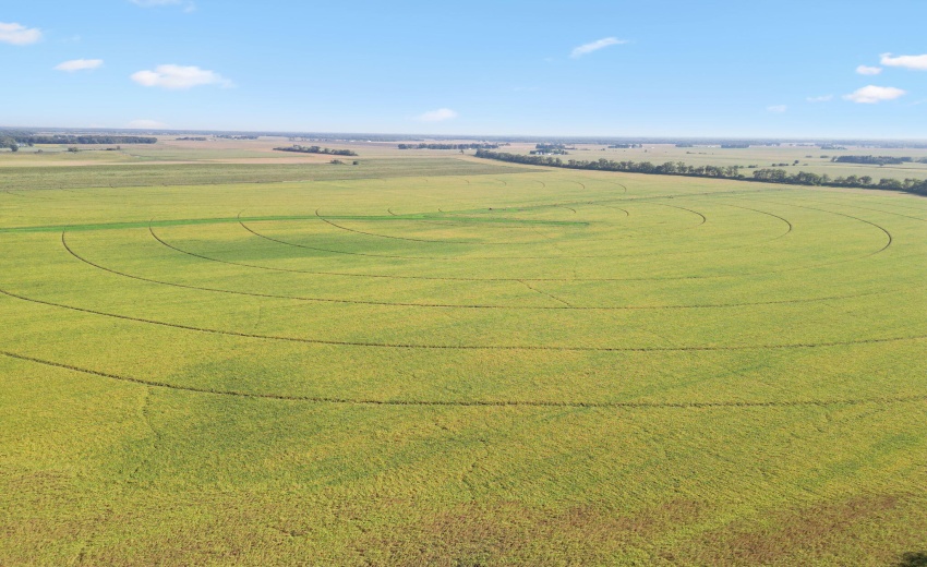 43-web-or-mls-411-hamilton-st