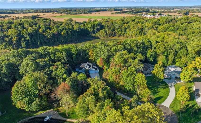 46-web-or-mls-001 (3) (2)