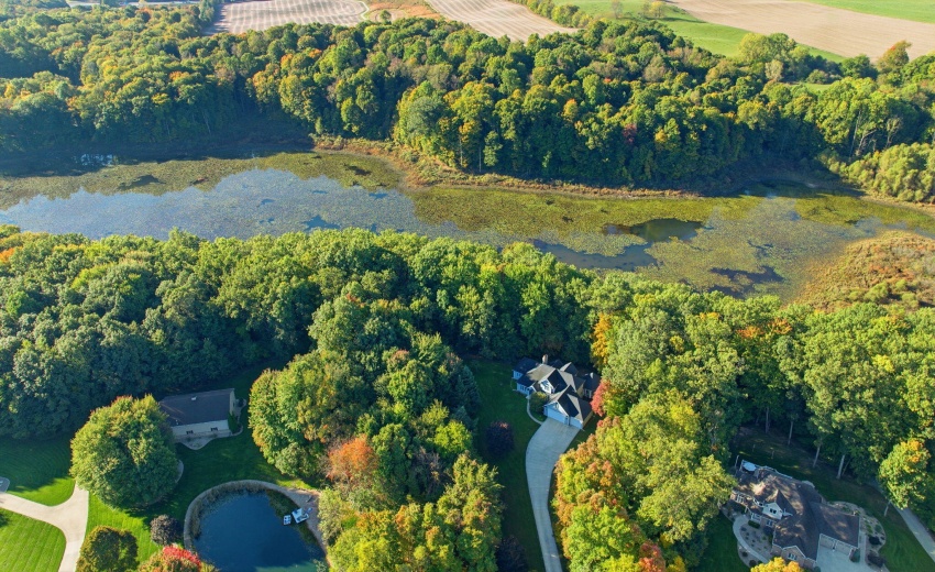 51-web-or-mls-001 (8) (2)