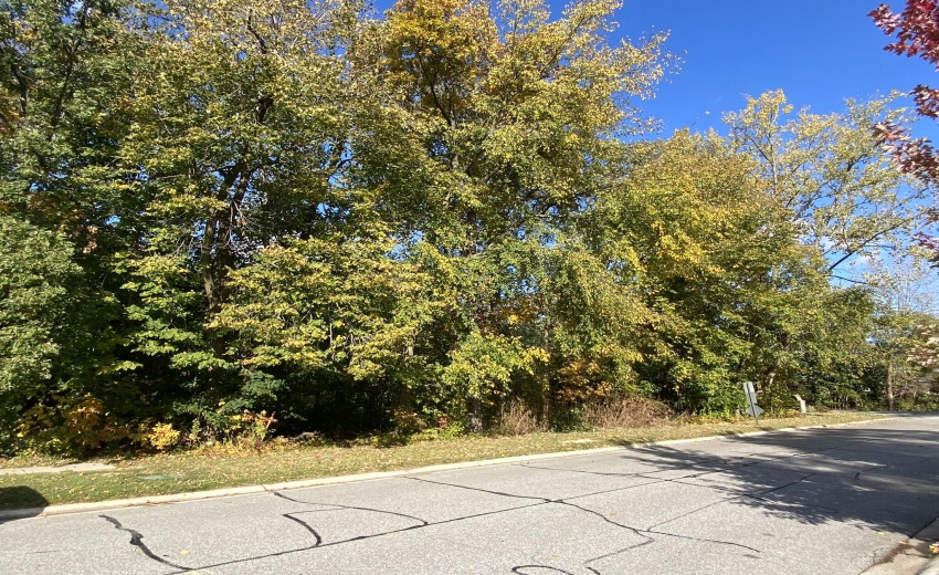 D231317A-C30A-4659-894C-2428C830915D