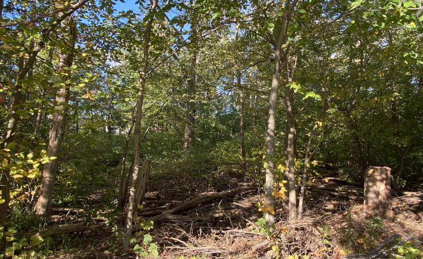 FD41996D-5435-4B4A-99E2-6FB13C177890