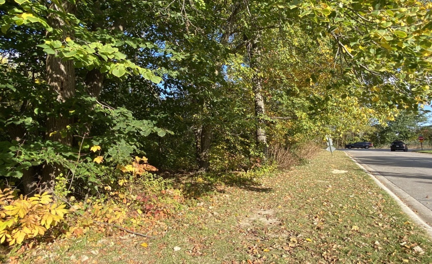 0DCF64C2-E849-486A-B89F-987999FFEAC2