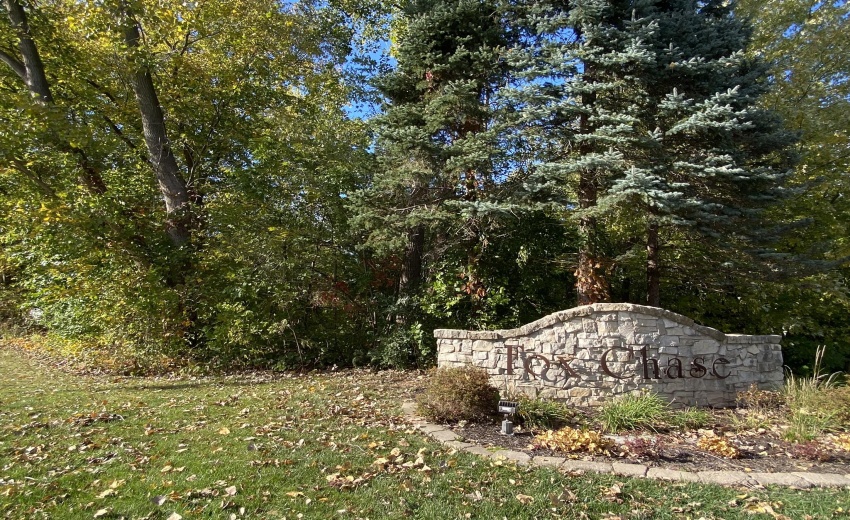 602A3ECB-59A0-4F12-903A-3219AACF1758