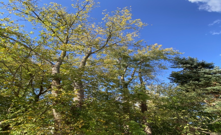 890CA7F5-5AB9-4ADB-9668-35BCC80755DC