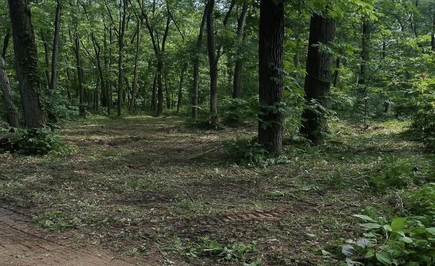 42E51C3D-1B52-4040-8966-57942EB81806