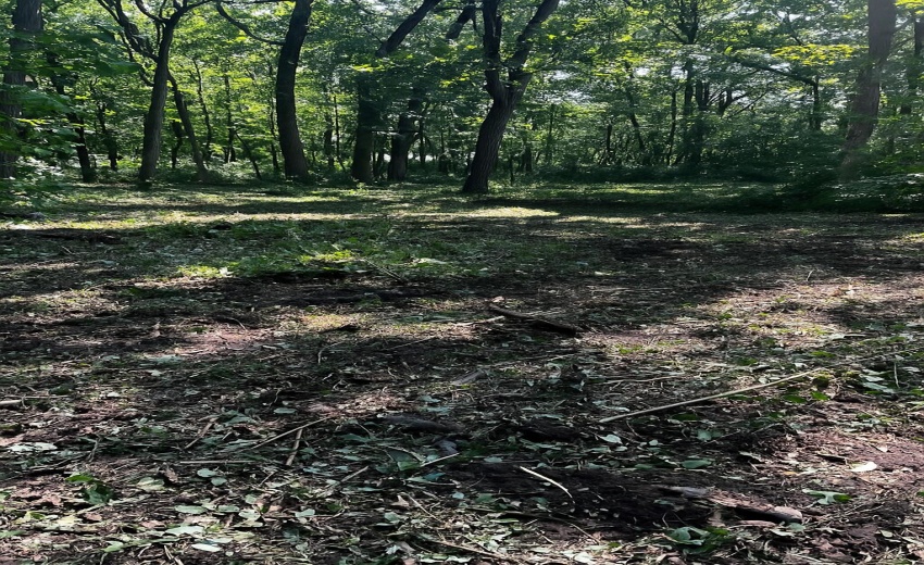 8EEDAD46-F6B0-4B8E-BFF4-CD192C8289E9