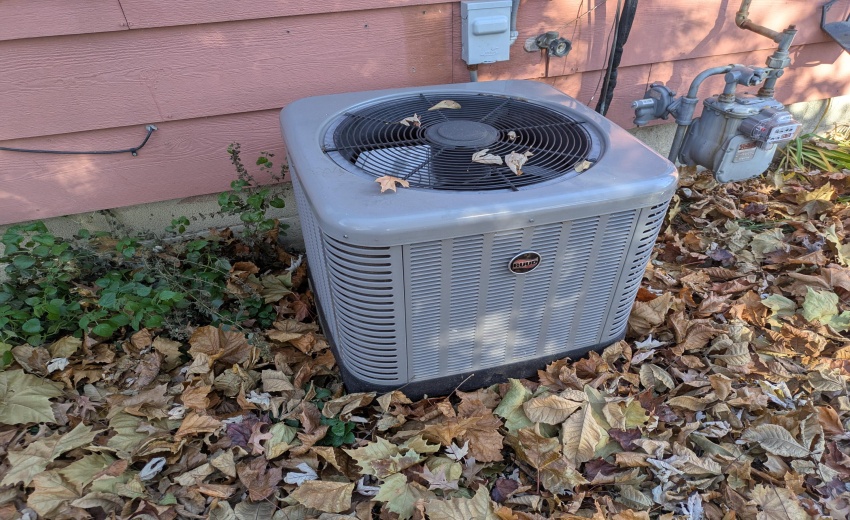 PXL_20251117_162939656.MP