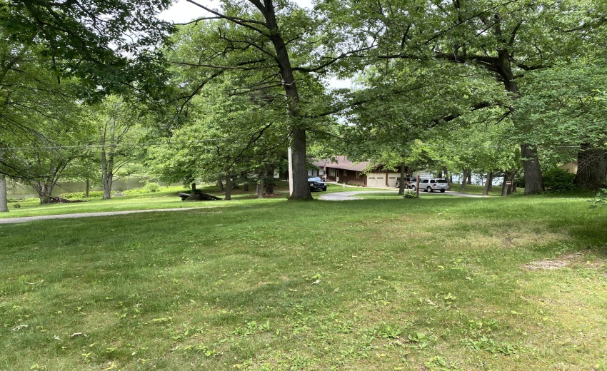 View to pond