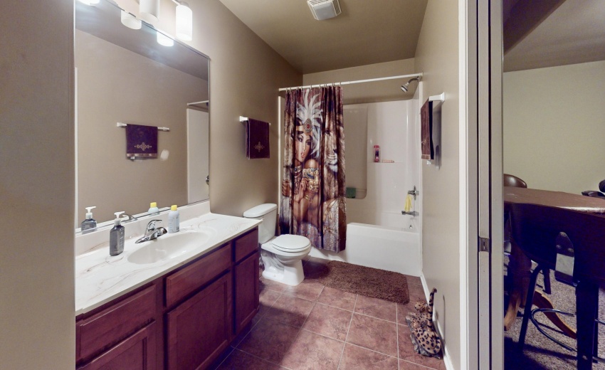 3782-W-70th-Pl-Bathroom