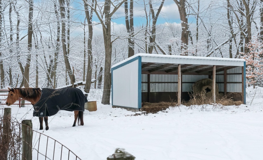 Horse Shelter