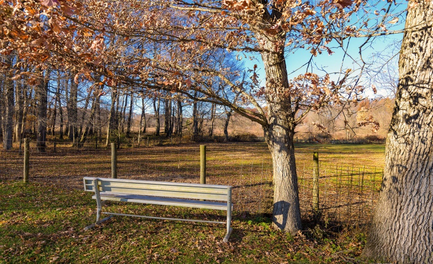 Pasture