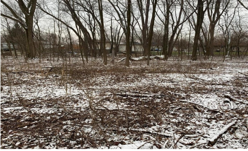 Screenshot 2025-12-15 153321