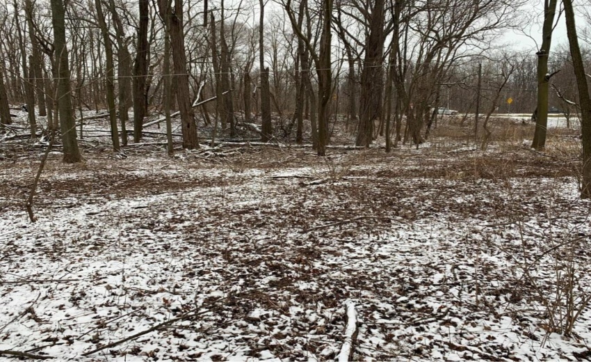 Screenshot 2025-12-15 153334