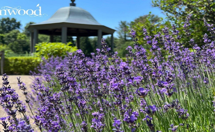 Near Fernwood Botanical Garden