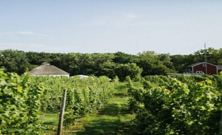 Near Round Barn Winery