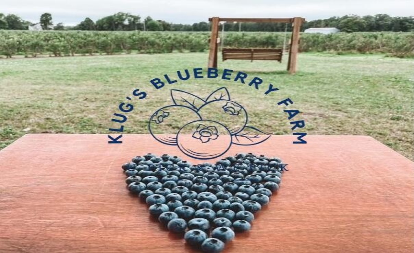 Near Klug's Blueberry Farm