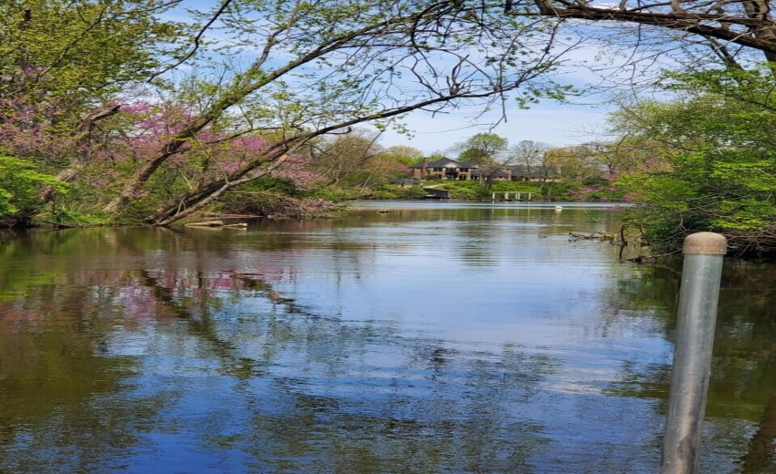 Canal View in the Spring